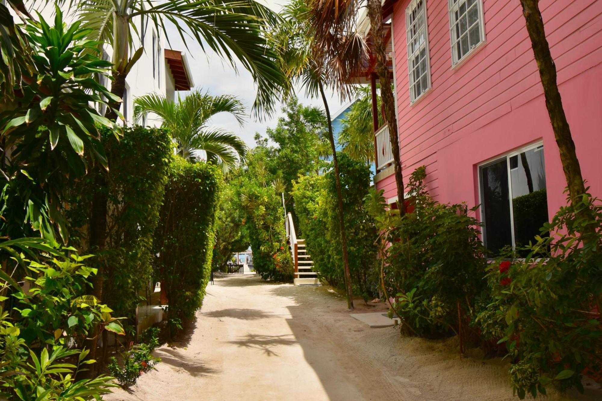 Palmetto Garden Cottage Caye Caulker Exterior foto